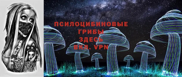 амф Абинск