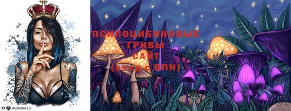 винт Абаза